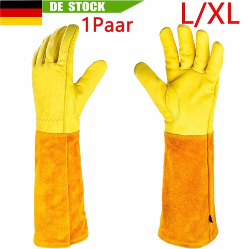 Rosenhandschuhe - 2x,