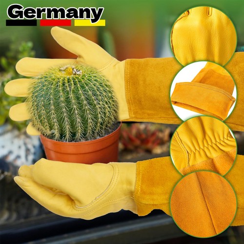 Paar gartenhandschuhe - paar,